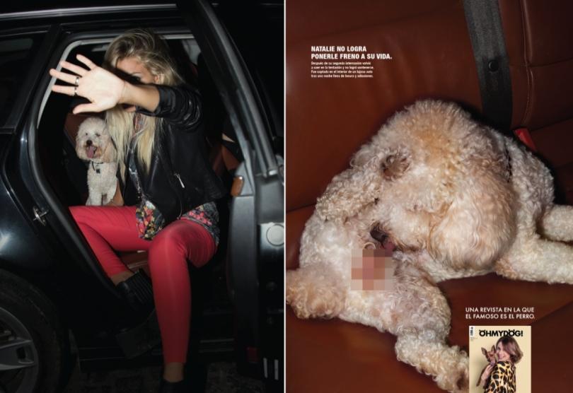 Portada de Wikot Buenos Aires presenta su nueva campaña para la revista Ohh my dog
