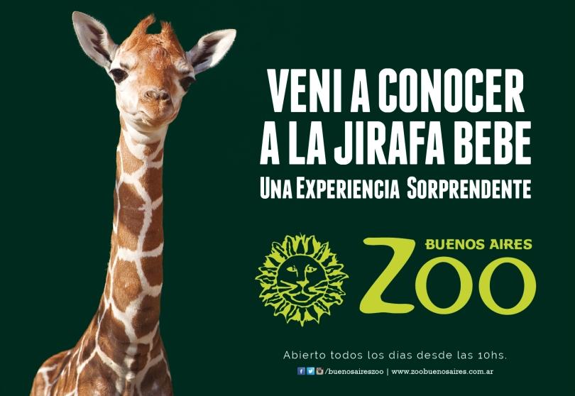 Portada de “Altas Vacaciones”, la campaña del ZOO de Buenos Aires realizada por Puro Presente